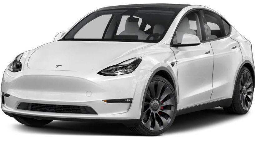 TESLA MODEL Y 2021 5YJYGDEE7MF082407 image